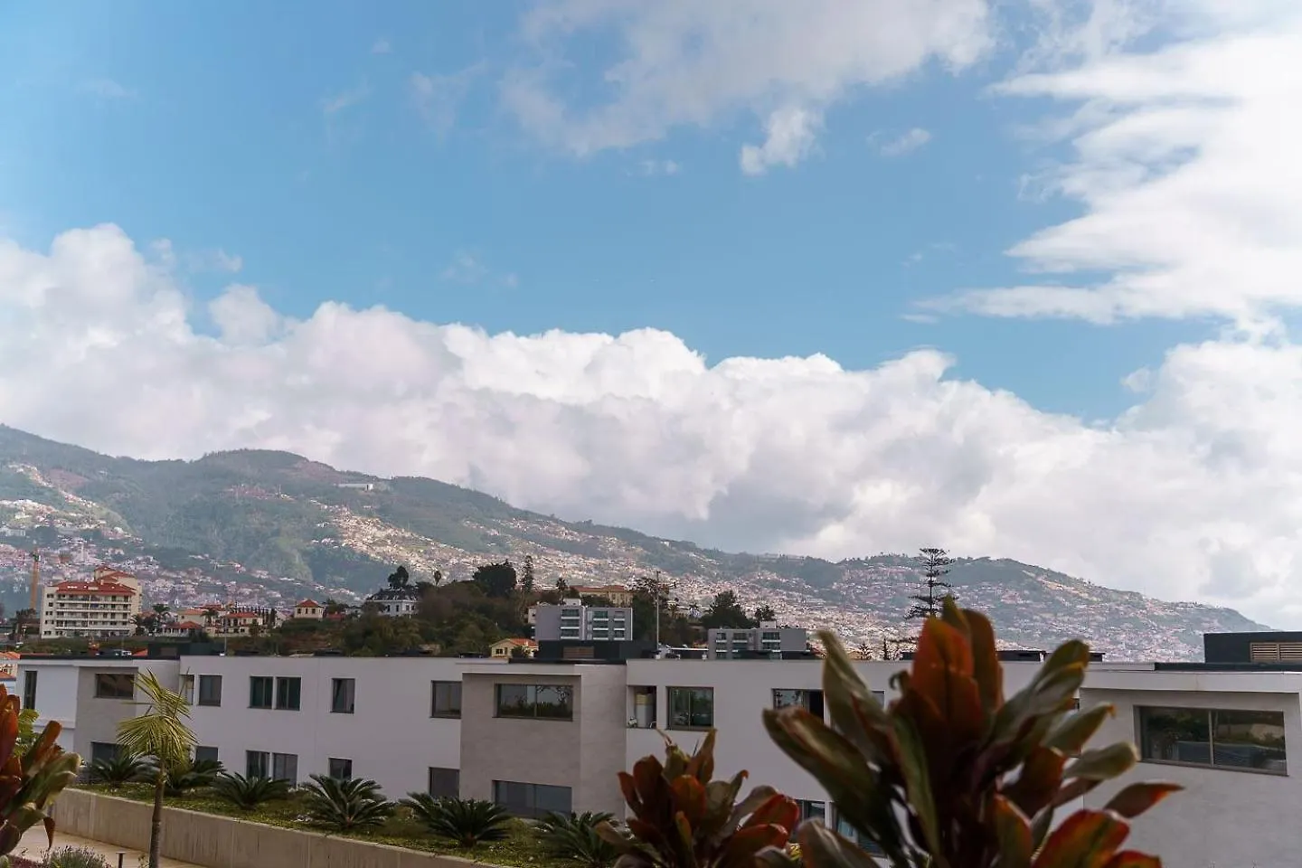 A Peaceful Retreat Near The City Centre Funchal  Apartment